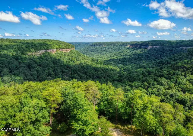 Homes for sale in Jamestown, TN | Lot 86 Cliffmont Rd, Jamestown, TN 38556 | MLS# 1191325