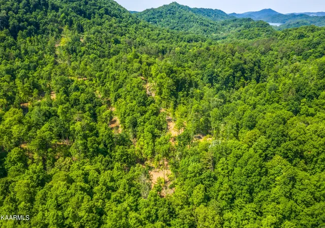 Photo 3 of Land for sale at 114 Acres State Hwy 33, Tazewell, TN 37879 | MLS# 1194055 | Listing updated on 2026-08-30