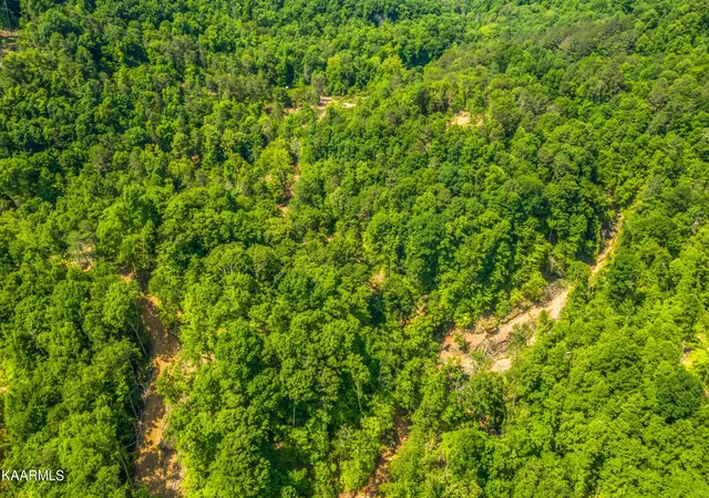 Photo 4 of Land for sale at 114 Acres State Hwy 33, Tazewell, TN 37879 | MLS# 1194055 | Listing updated on 2026-08-30