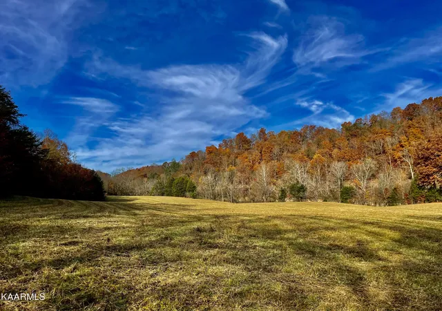 60th image of 114 Acres State Hwy 33, Tazewell, TN 37879 | MLS# 1194055