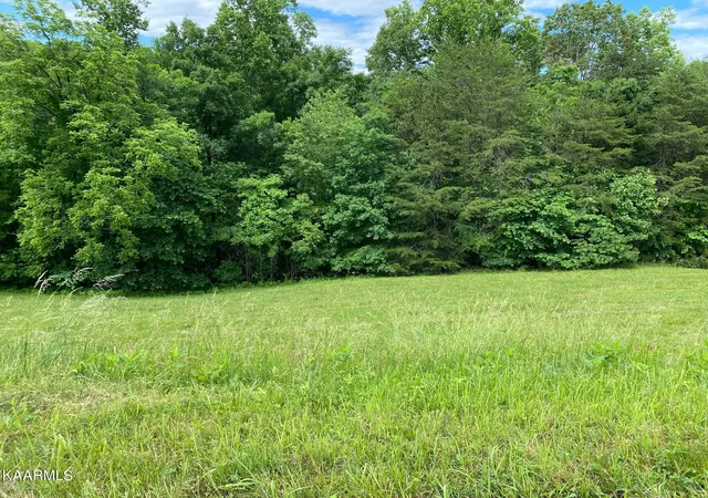 1st image of Lot 257 Marble Point Way, New Tazewell, TN 37825 | MLS# 1193110
