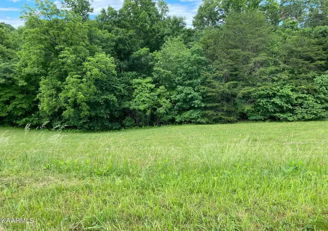 2nd image of Lot 257 Marble Point Way, New Tazewell, TN 37825 | MLS# 1193110