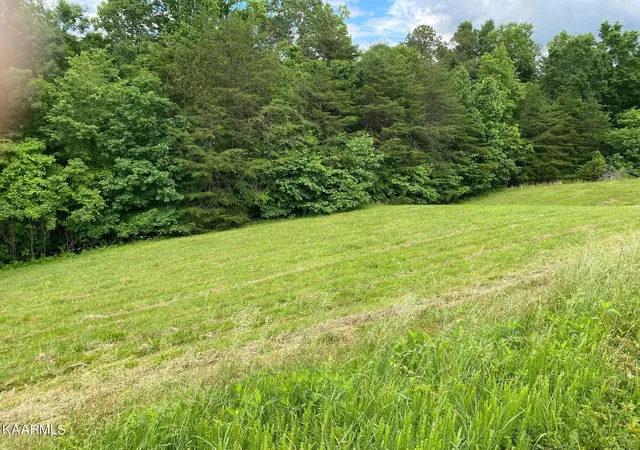 3rd image of Lot 257 Marble Point Way, New Tazewell, TN 37825 | MLS# 1193110