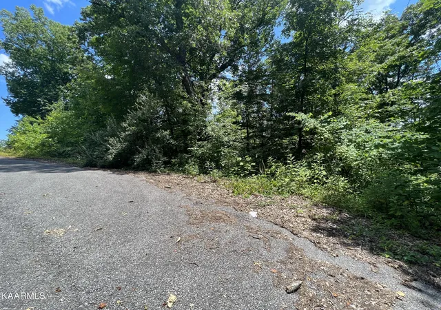 Homes for sale in La Follette, TN | Lot 37 Pinnacle Ln, La Follette, TN 37766 | MLS# 1197212