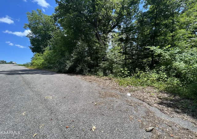 Homes for sale in La Follette, TN | Lot 37 Pinnacle Ln, La Follette, TN 37766 | MLS# 1197212