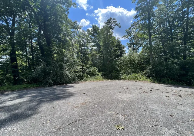 Homes for sale in La Follette, TN | Lot 37 Pinnacle Ln, La Follette, TN 37766 | MLS# 1197212