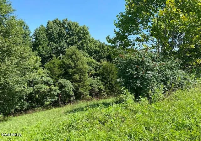 Photo 1 of Land for sale at Lot 255 Marble Point Way, New Tazewell, TN 37825 | MLS# 1202249 | Listing updated on 2026-08-10