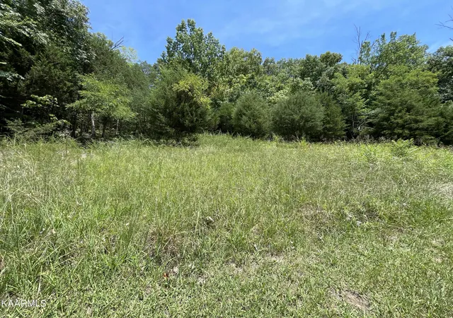 Land for sale at 102 Lakeshore Way, Bybee, TN 37713 | MLS# 1202533