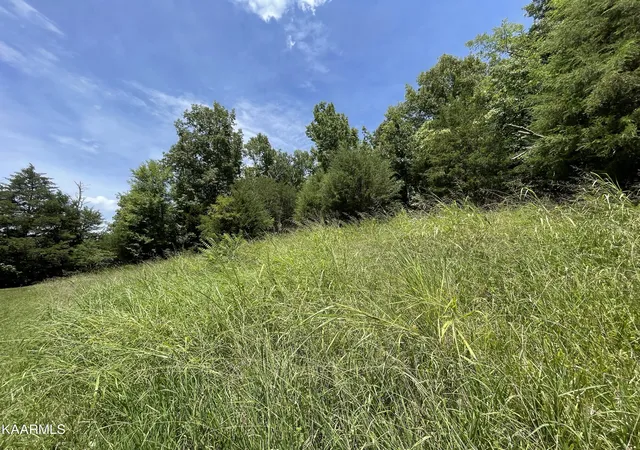 Photo 2 of Land for sale at 102 Lakeshore Way, Bybee, TN 37713 | MLS# 1202533 | Listing updated on 2026-07-08