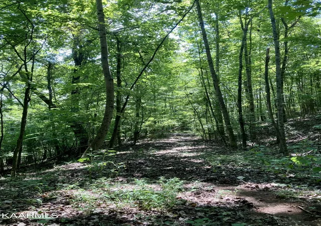 Photo 3 of Sale Pending at Lakewood Village Dr, Spring City, TN 37381 | MLS# 1209251 | Listing updated on 2025-12-09