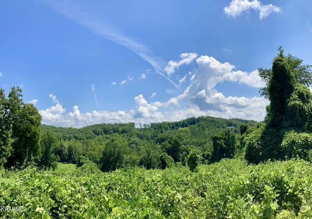 Photo 3 of Sale Pending at Lakewood Village Dr, Spring City, TN 37381 | MLS# 1209251 | Listing updated on 2025-12-09