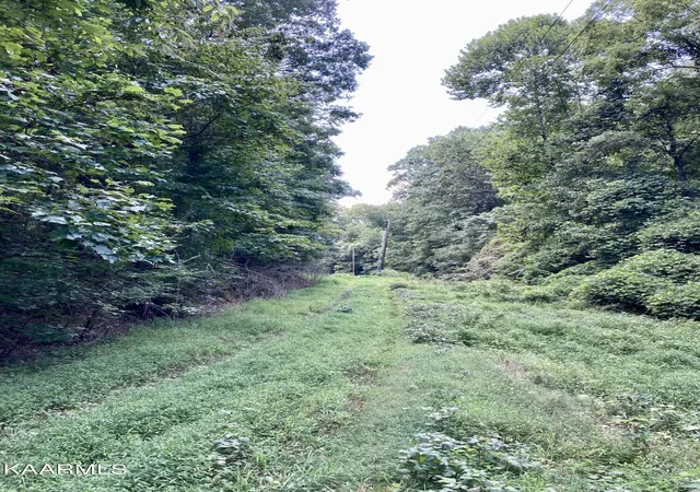 Photo 4 of Sale Pending at Lakewood Village Dr, Spring City, TN 37381 | MLS# 1209251 | Listing updated on 2025-12-09
