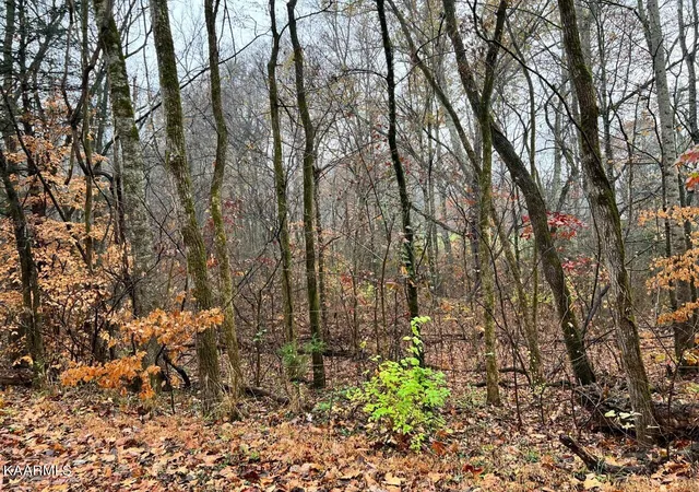 1st image of Lot 6 Butler Rd, Decatur, TN 37322 | MLS# 1211202