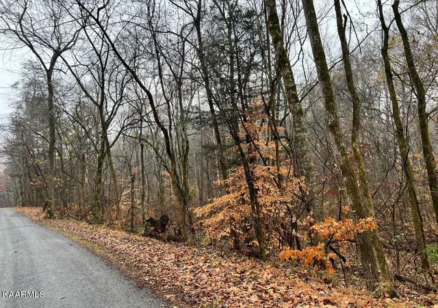 2nd image of Lot 6 Butler Rd, Decatur, TN 37322 | MLS# 1211202