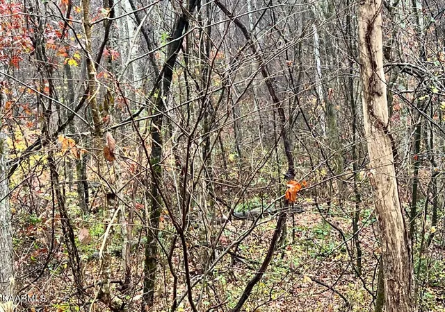 5th image of Lot 7 Butler Rd, Decatur, TN 37322 | MLS# 1211205