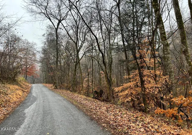 3rd image of Lot 8 Butler Rd, Decatur, TN 37322 | MLS# 1211207