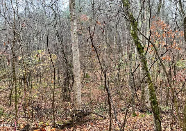 4th image of Lot 8 Butler Rd, Decatur, TN 37322 | MLS# 1211207