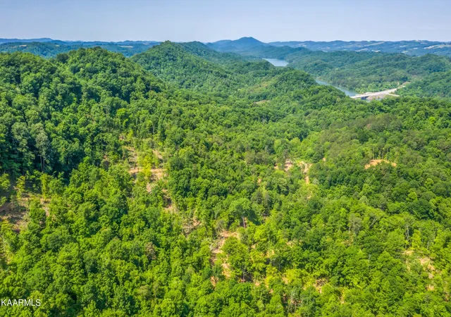 Photo 4 of Land for sale at 57 Acres Off Hwy 33 Track 1, Tazewell, TN 37879 | MLS# 1211638 | Listing updated on 2026-08-30