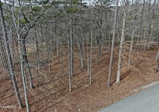 Photo 1 of Land for sale at Lots 8 & 9 Eagle Bluff, Jamestown, TN 38556 | MLS# 1218031 | Listing updated on 2026-01-14