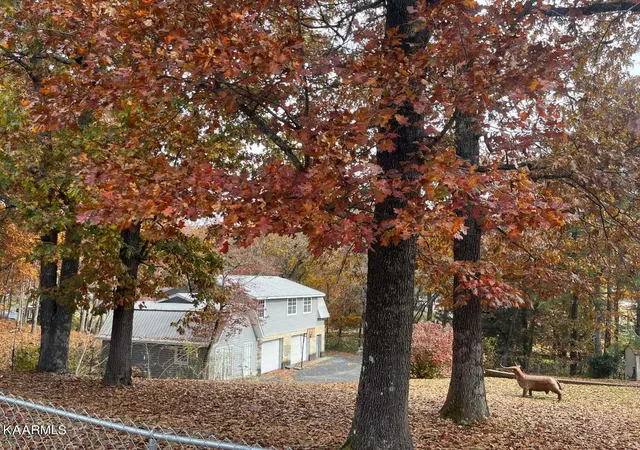 35th image of 739 Sherwood Dr, Rockwood, TN 37854 | MLS# 1219430
