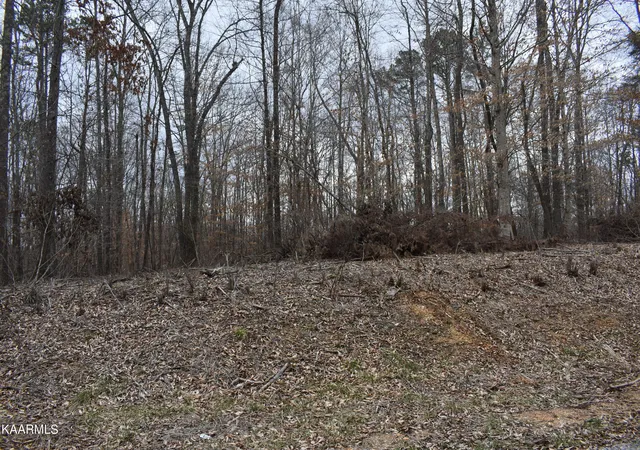 1st image of Lot 10 Jones Ridge Rd, Speedwell, TN 37870 | MLS# 1220814