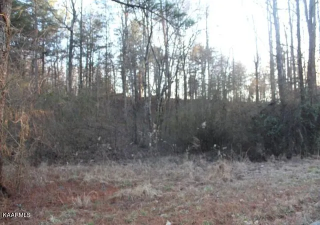 Homes for sale in Etowah, TN | County Road 786 Lot 2, Etowah, TN 37331 | MLS# 1221409