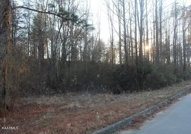 Homes for sale in Etowah, TN | County Road 786 Lot 2, Etowah, TN 37331 | MLS# 1221409