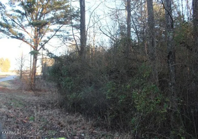 Homes for sale in Etowah, TN | County Road 786 Lot 2, Etowah, TN 37331 | MLS# 1221409