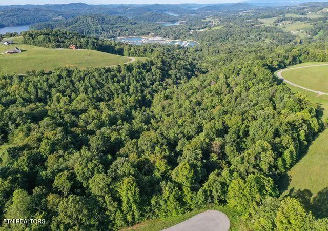 Homes for sale in New Tazewell, TN | Mica Court Lot #160, New Tazewell, TN 37825 | MLS# 1231245