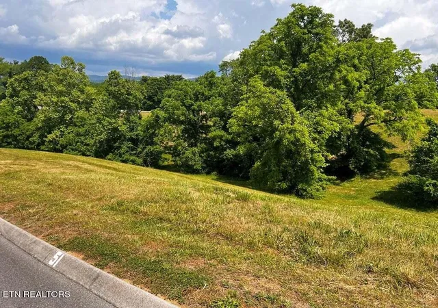 Photo 3 of Land for sale at 6377 Coves Edge Tr, Russellville, TN 37860 | MLS# 1245946 | Listing updated on 2026-09-30
