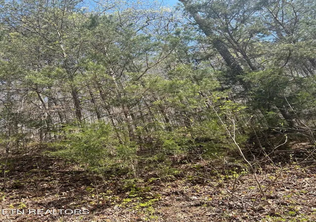 Homes for sale in Speedwell, TN | Lot 3 Jones Ridge Rd, Speedwell, TN 37870 | MLS# 1246398