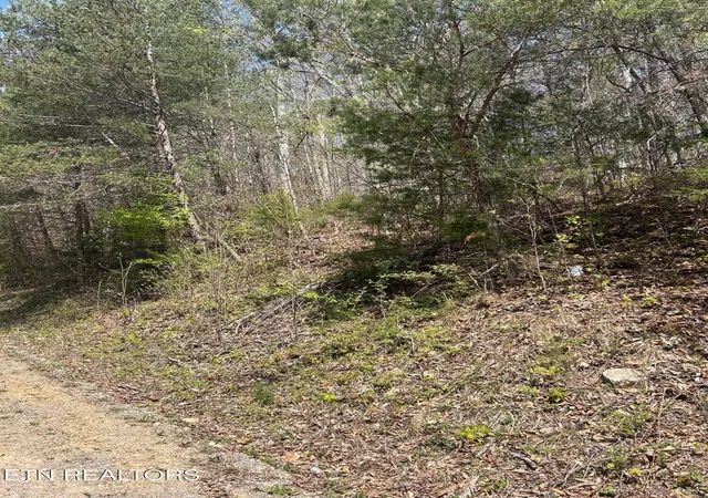 Homes for sale in Speedwell, TN | Lot 3 Jones Ridge Rd, Speedwell, TN 37870 | MLS# 1246398