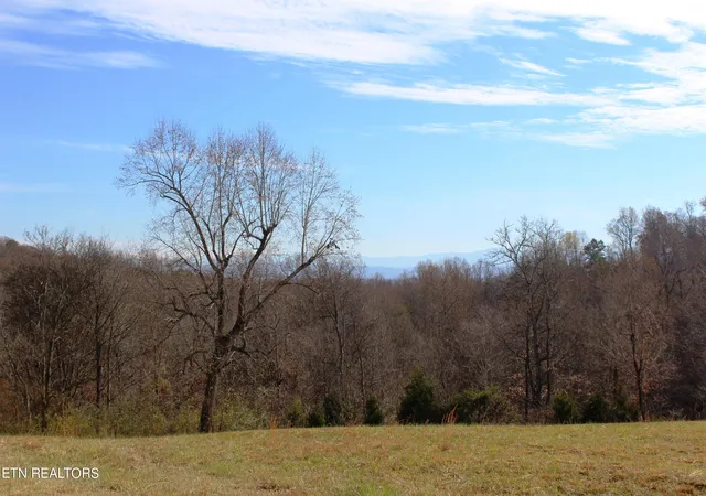 Photo 3 of Land for sale at Wayne Bryant Rd, Louisville, TN 37777 | MLS# 1246628 | Listing updated on 2026-06-13