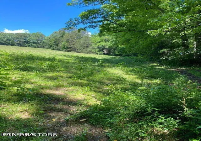 Photo 3 of Land for sale at Lot 7 Chapman Rd, La Follette, TN 37766 | MLS# 1248170 | Listing updated on 2026-07-02