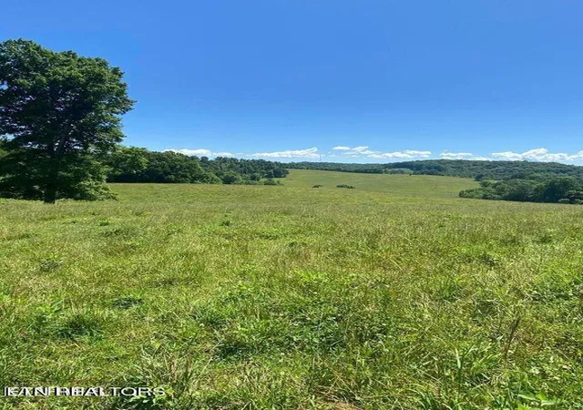 Photo 3 of Land for sale at Lot 6 Chapman Rd, La Follette, TN 37766 | MLS# 1248174 | Listing updated on 2026-07-01
