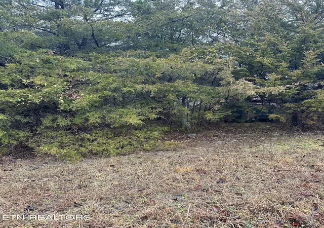 Photo 2 of Land for sale at Lot156 Wedge Way, Tazewell, TN 37879 | MLS# 1249544 | Listing updated on 2026-10-20
