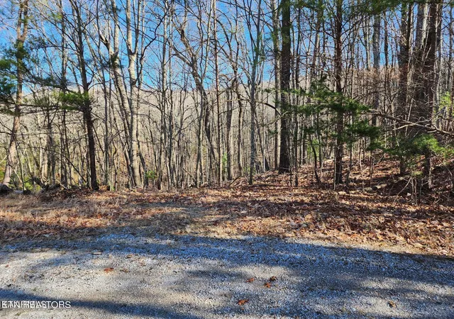 Homes for sale in Crossville, TN | 56/58 Homberg Ln, Crossville, TN 38558 | MLS# 1254202