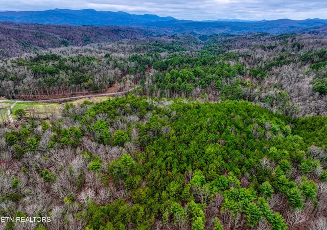1st image of 5709 Acs Rafter Rd, Tellico Plains, TN 37385 | MLS# 1254197