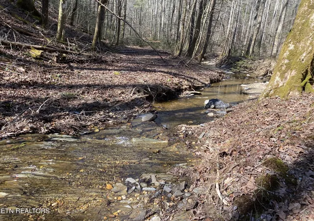 2nd image of 5709 Acs Rafter Rd, Tellico Plains, TN 37385 | MLS# 1254197