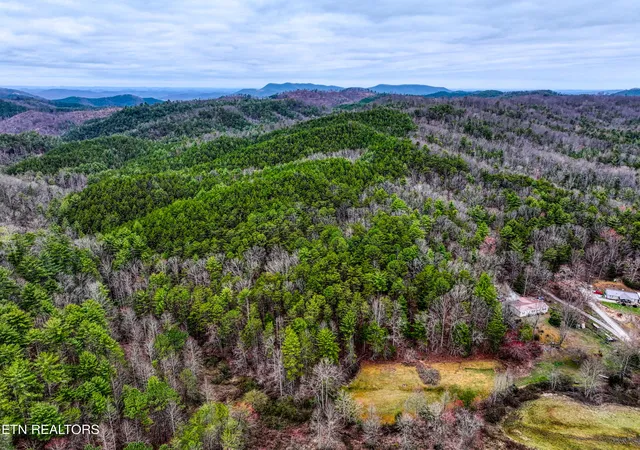 3rd image of 5709 Acs Rafter Rd, Tellico Plains, TN 37385 | MLS# 1254197