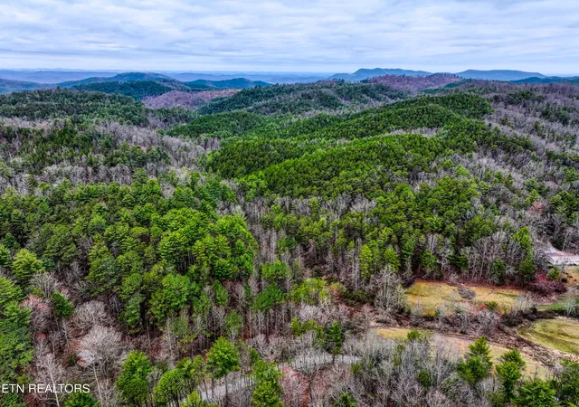 4th image of 5709 Acs Rafter Rd, Tellico Plains, TN 37385 | MLS# 1254197