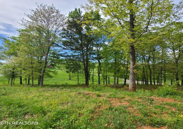 5th image of Lot 92R Majestic Cir, Dandridge, TN 37725 | MLS# 1255598