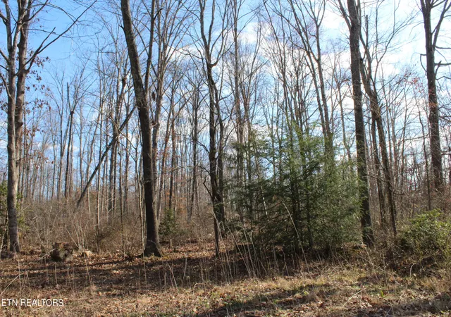 5th image of Fairgrounds Rd, Jamestown, TN 38556 | MLS# 1255783
