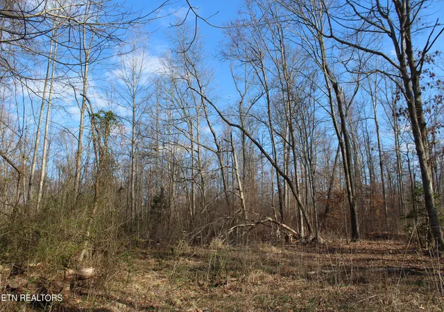 6th image of Fairgrounds Rd, Jamestown, TN 38556 | MLS# 1255783