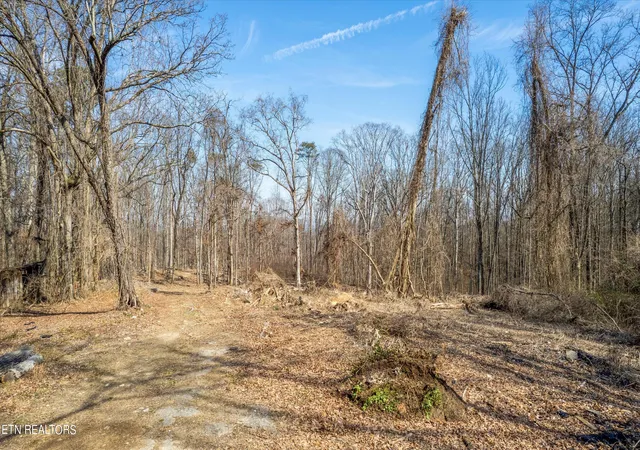 Photo 2 of Sale Pending at 5800 Parkdale Rd, Knoxville, TN 37912 | MLS# 1258946 | Listing updated on 2026-01-22