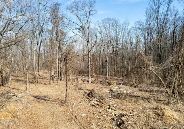 Photo 4 of Sale Pending at 5800 Parkdale Rd, Knoxville, TN 37912 | MLS# 1258946 | Listing updated on 2026-01-22