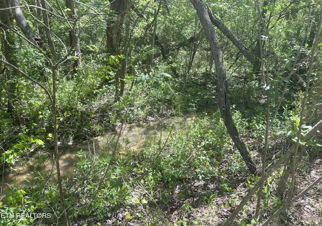 1st image of Dunn Rd, Tellico Plains, TN 37385 | MLS# 1259808