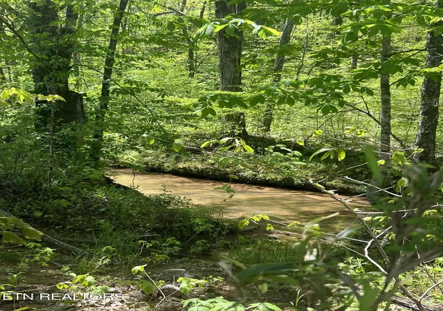 21st image of Dunn Rd, Tellico Plains, TN 37385 | MLS# 1259808
