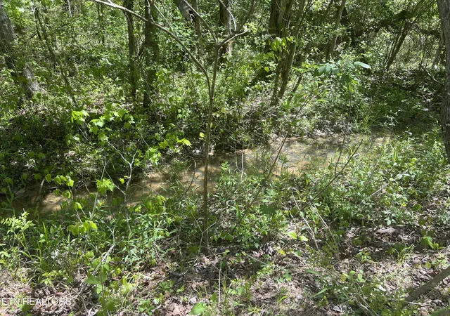 3rd image of Dunn Rd, Tellico Plains, TN 37385 | MLS# 1259808