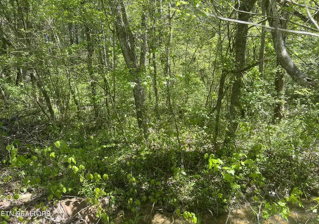 4th image of Dunn Rd, Tellico Plains, TN 37385 | MLS# 1259808